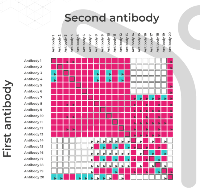 SPR Epitope binning Antibody Analytics-1